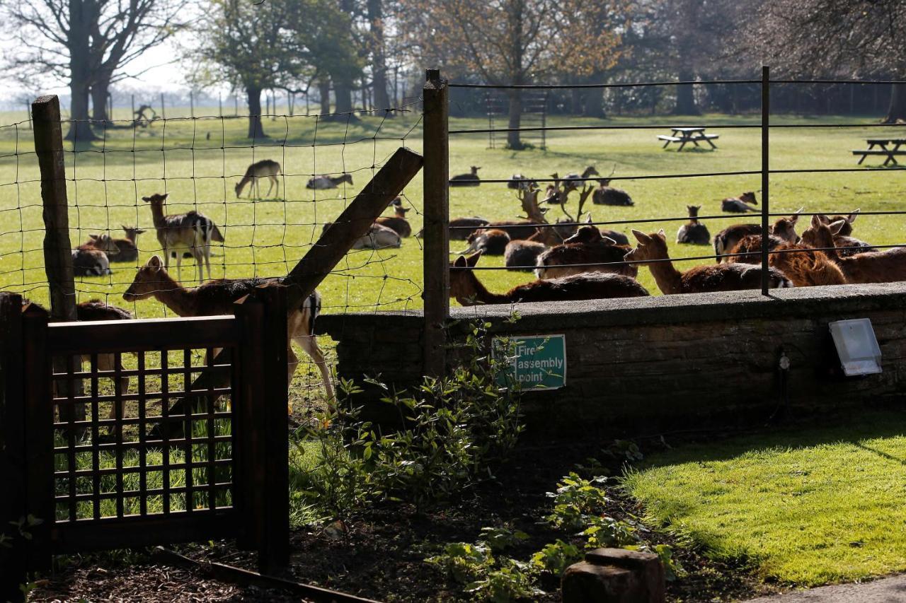 Whitworth Hall Hotel & Deer Park - Durham Spennymoor Экстерьер фото