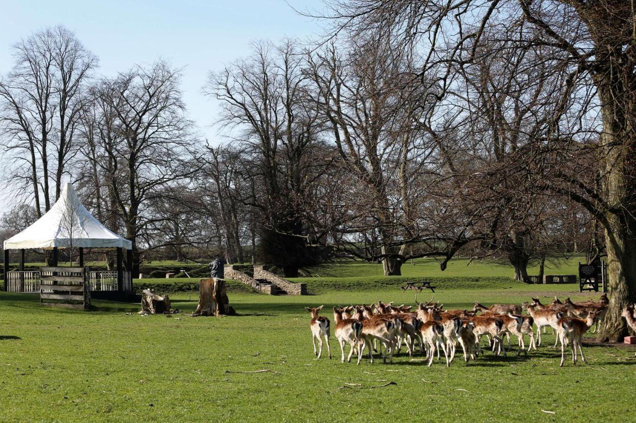 Whitworth Hall Hotel & Deer Park - Durham Spennymoor Экстерьер фото